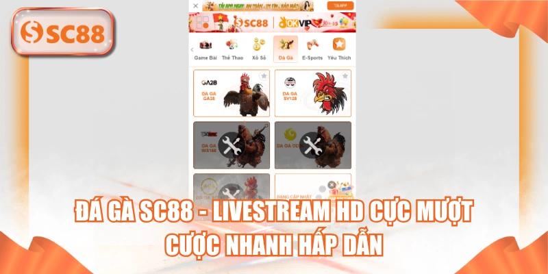 Đá Gà SC88 - Livestream HD Cực Mượt, Cược Nhanh Hấp Dẫn